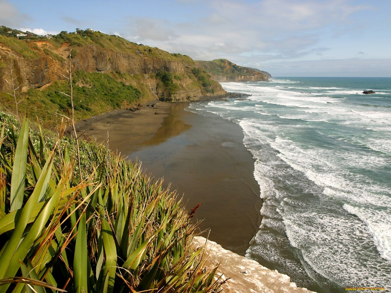 Пляжи новой зеландии. Piha Beach новая Зеландия. Пляж Муривай - Окленд, новая Зеландия. Новозеландские субантарктические острова. Берега новой Зеландии.